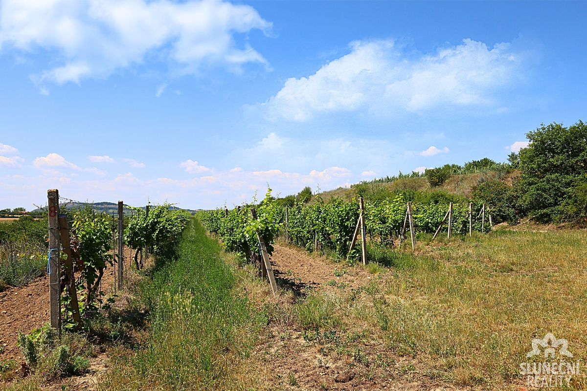 Prodej sadu, vinice 6224 m² – fotografie 3