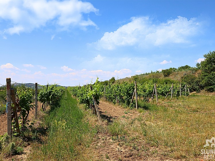 Ostatní