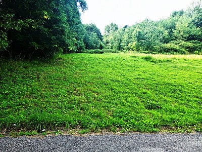 Prodej pozemku, 3 200 m² (3 z 7)