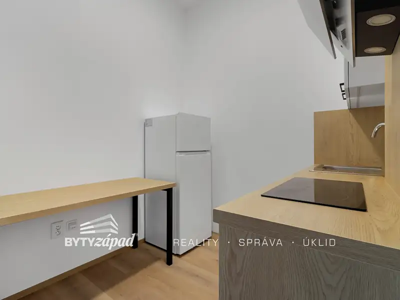 Pronájem bytu 2+kk 33 m², Plzeň – náhled fotky 3