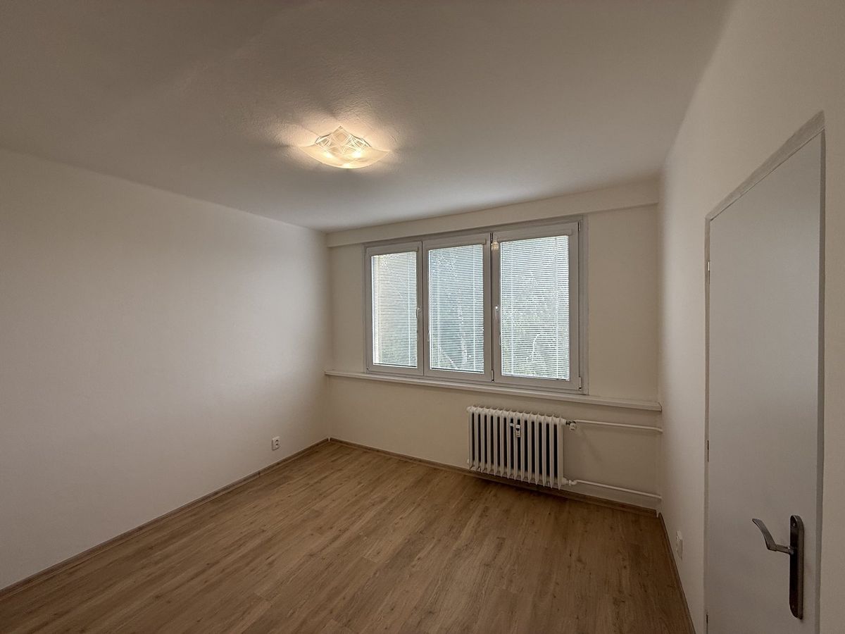 Pronájem bytu 3+1 66 m² – fotografie 5