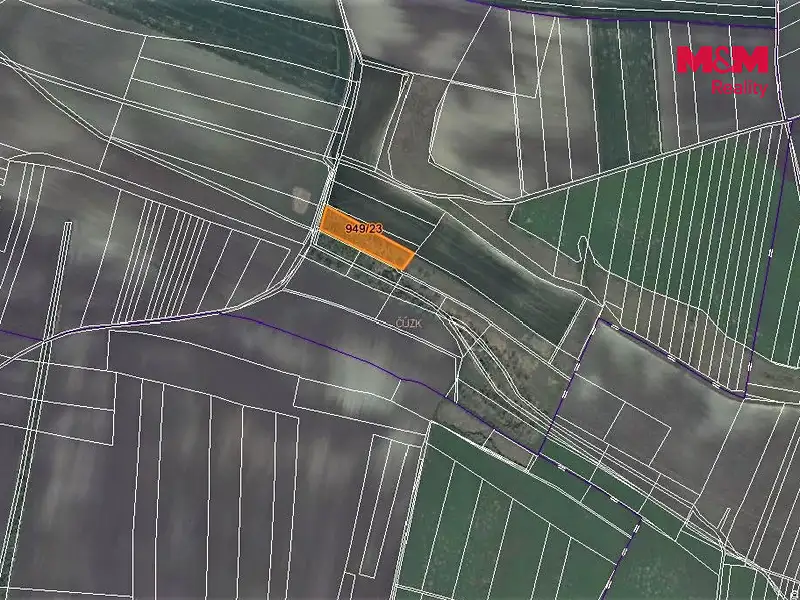 Prodej lesa 1499 m², Koštice – náhled fotky 3