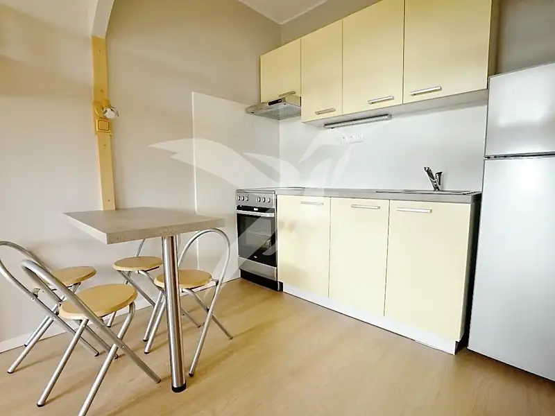 Prodej bytu 1+kk 31 m², Plzeň – náhled fotky 1