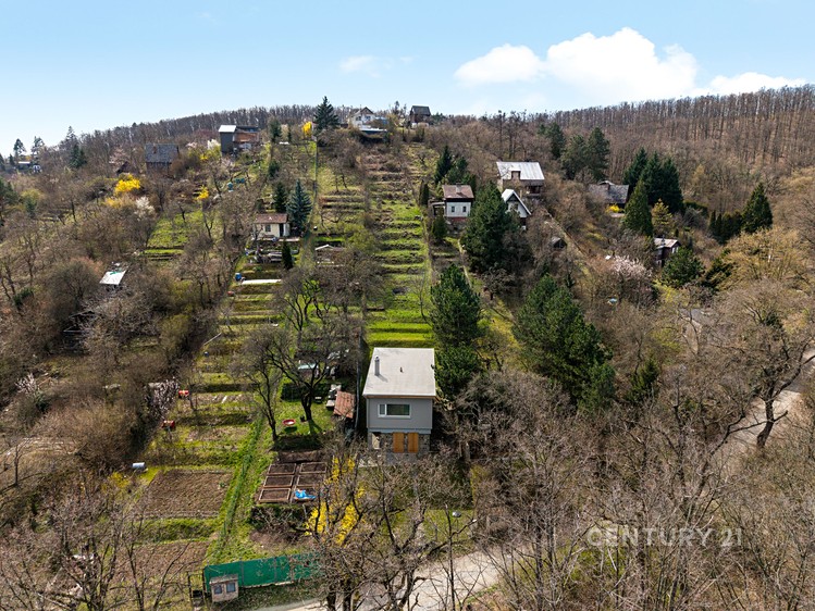 Ostatní