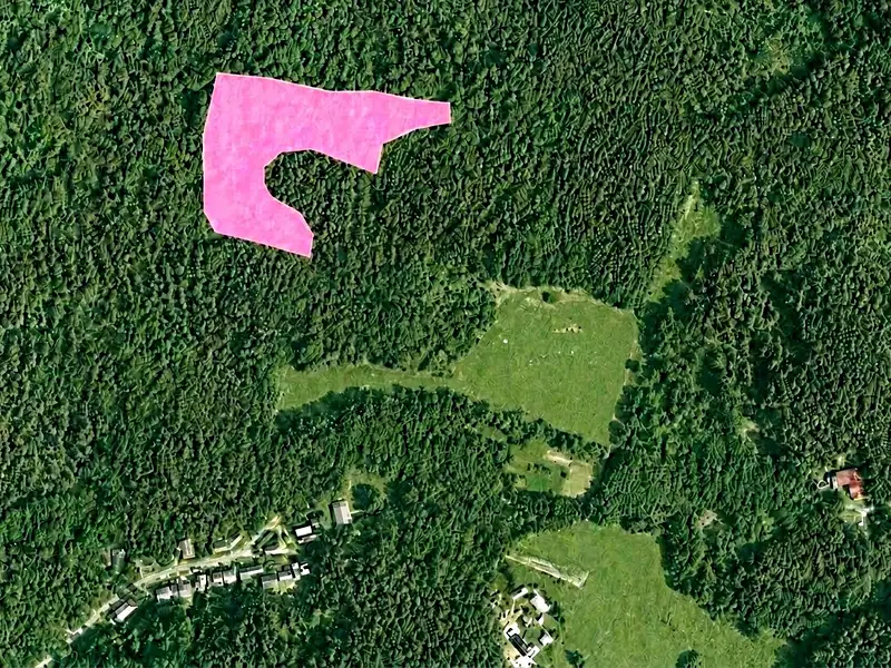 Prodej louky 12985 m², Boseň – náhled fotky 1
