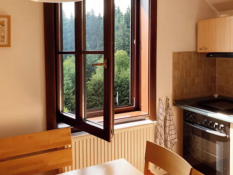 Prodej bytu 3+1 65 m², Harrachov – náhled fotky 2