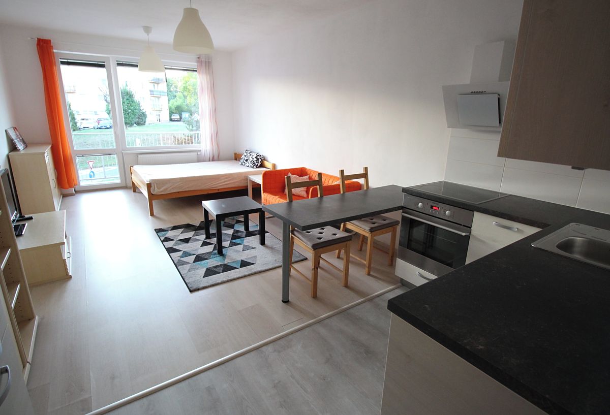 Pronájem bytu 1+kk 39 m² – fotografie 4