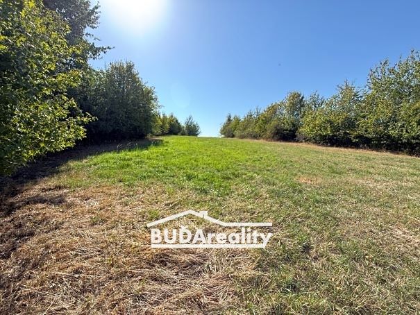 Prodej louky 3374 m² – fotografie 2