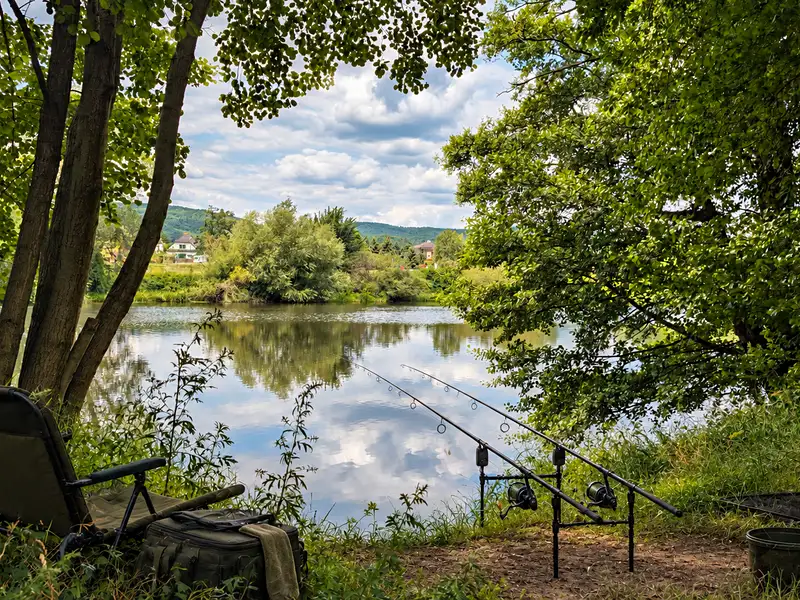 Prodej louky 185 m², Lety – náhled fotky 1