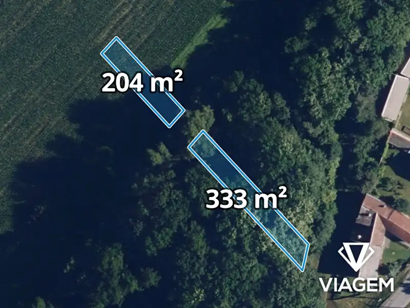 Prodej lesa 537 m², Moravičany – náhled fotky 1