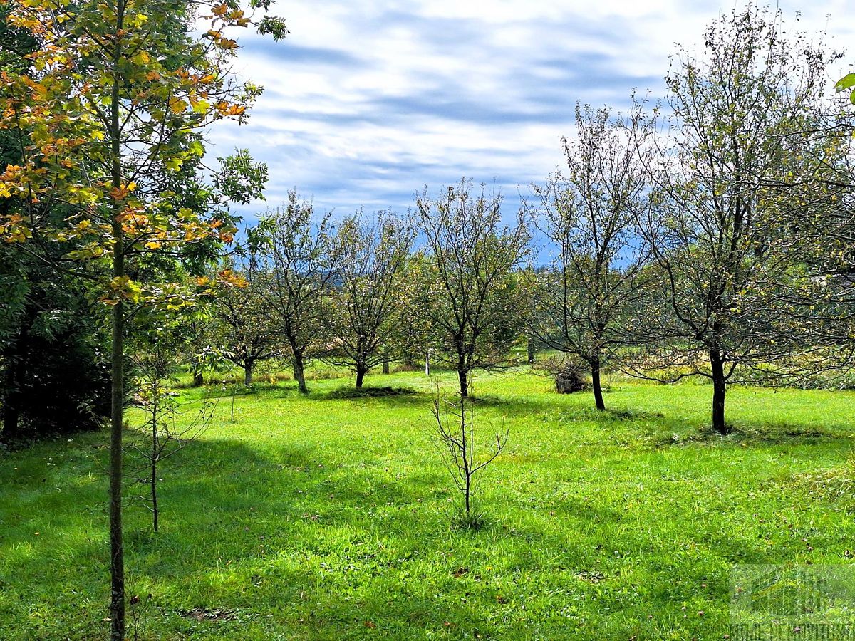 Prodej rodinného domu 192 m², pozemek 3819 m² – fotografie 3