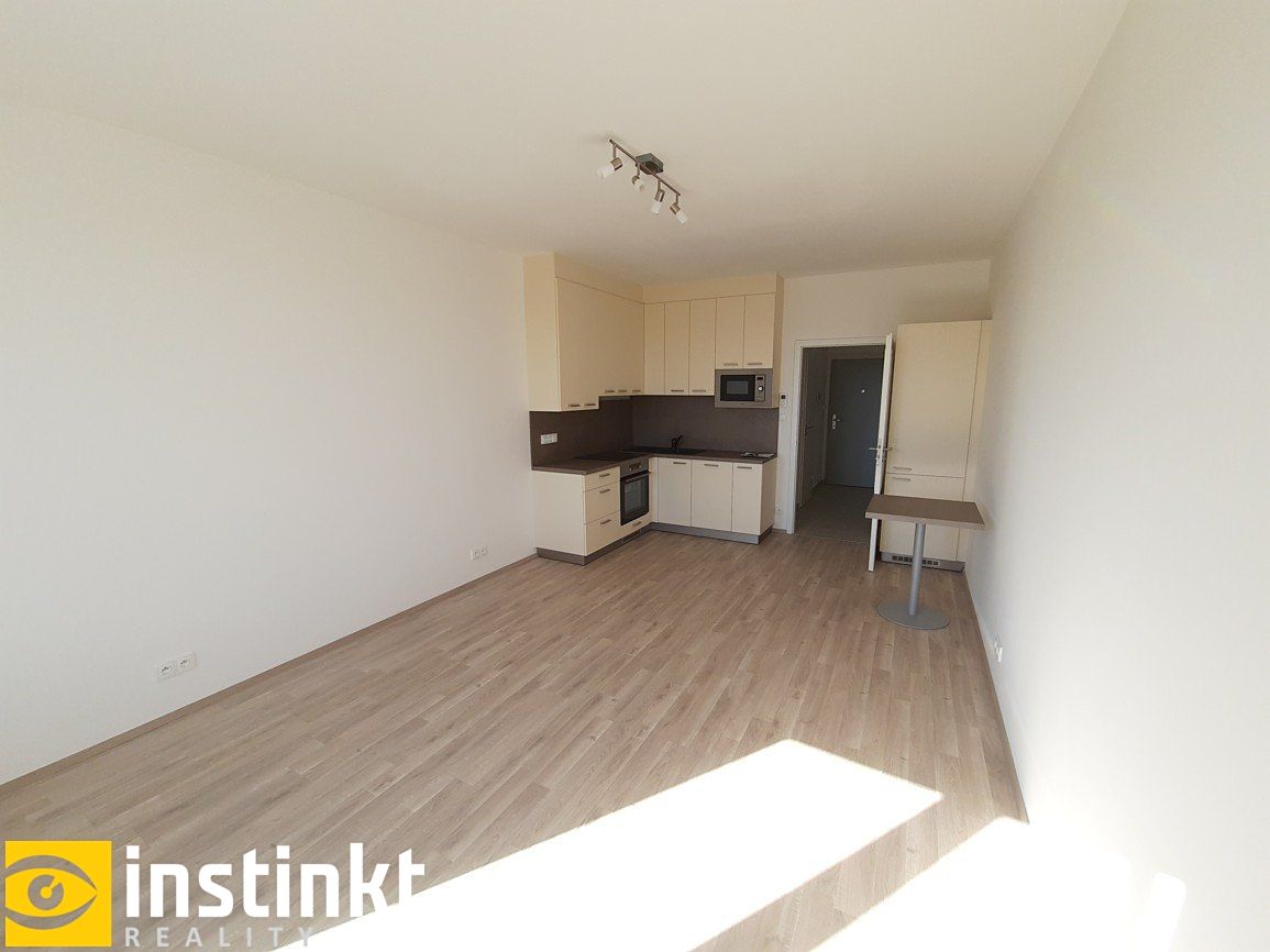 Pronájem bytu 1+kk 33 m² – fotografie 4