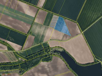 Prodej sadu, vinice 53388 m²