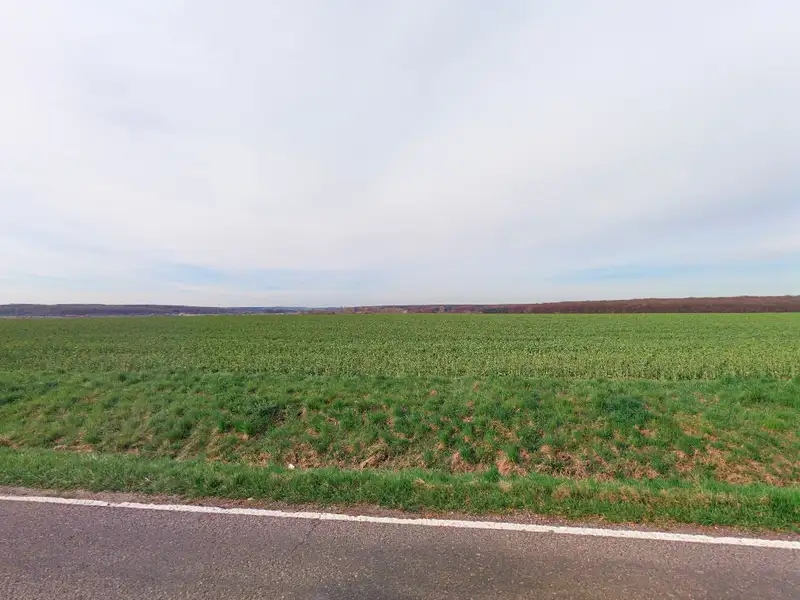 Prodej pole 3091 m², Kopidlno – náhled fotky 1