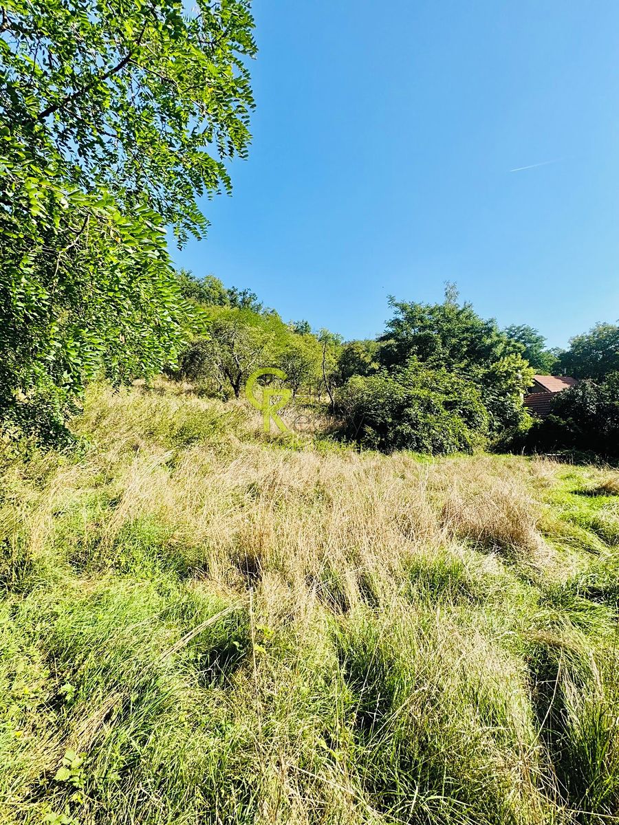 Prodej stavebního pozemku 3752 m² – fotografie 2