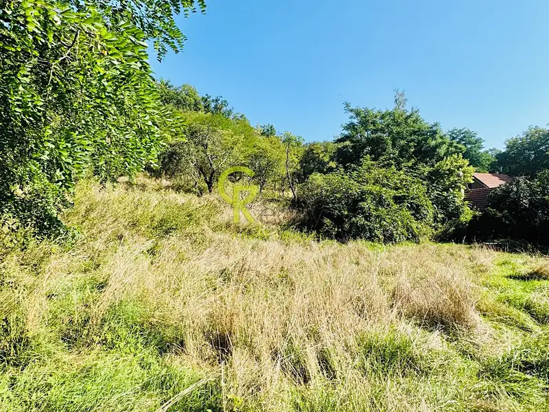 Prodej stavebního pozemku 3752 m², Husinec – náhled fotky 2