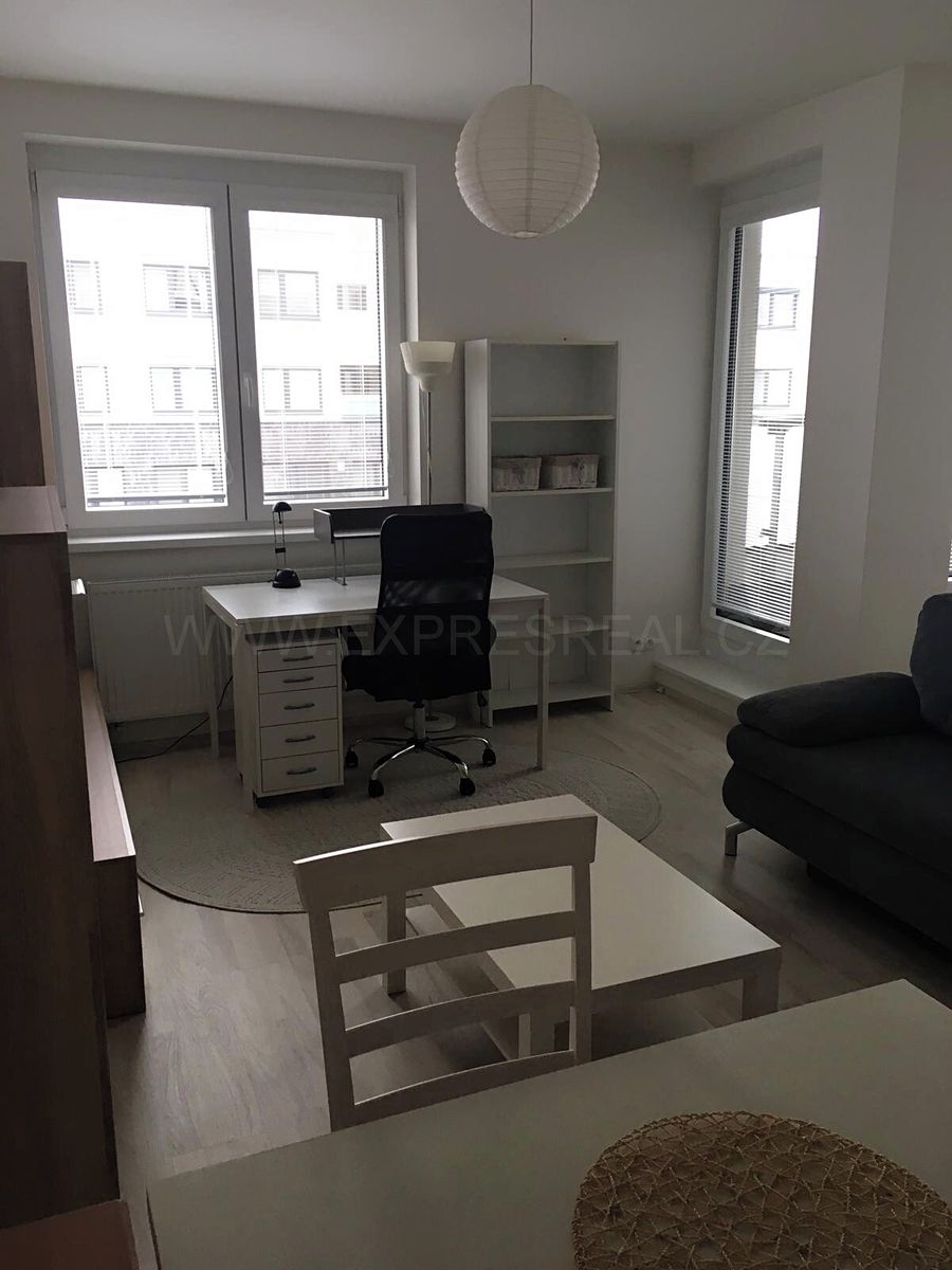 Pronájem bytu 1+kk 46 m² – fotografie 5
