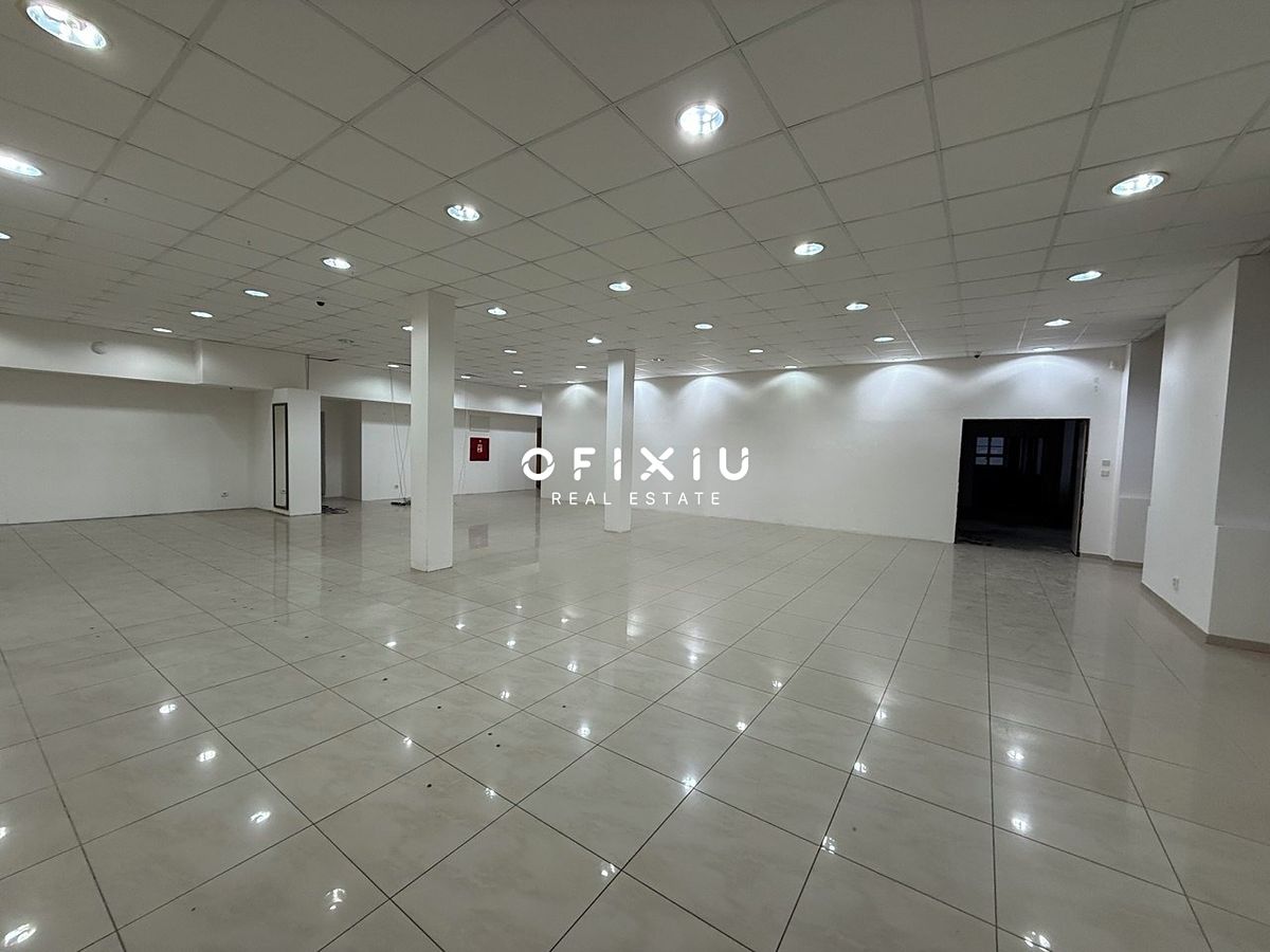 Pronájem obchodního prostoru 700 m²