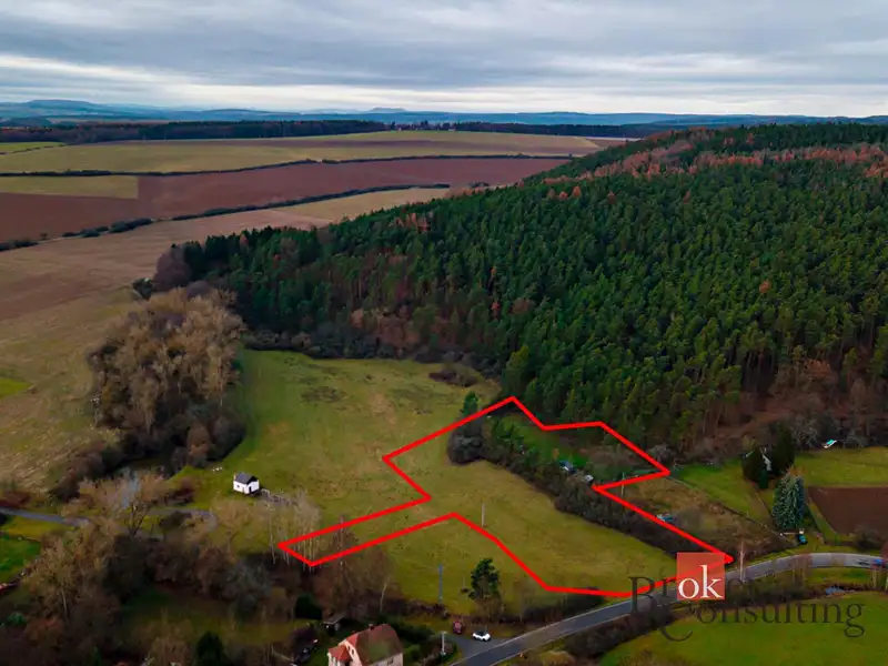 Prodej stavebního pozemku 6000 m², Plasy – náhled fotky 3