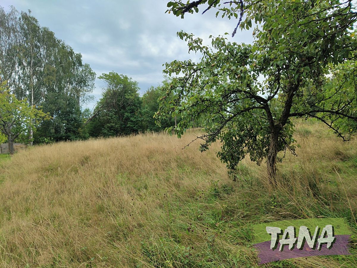 Prodej stavebního pozemku 941 m² – fotografie 2