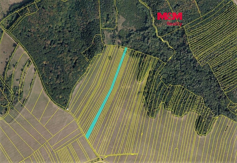 Prodej louky 4450 m², Zlámanec – fotka 1 z 3