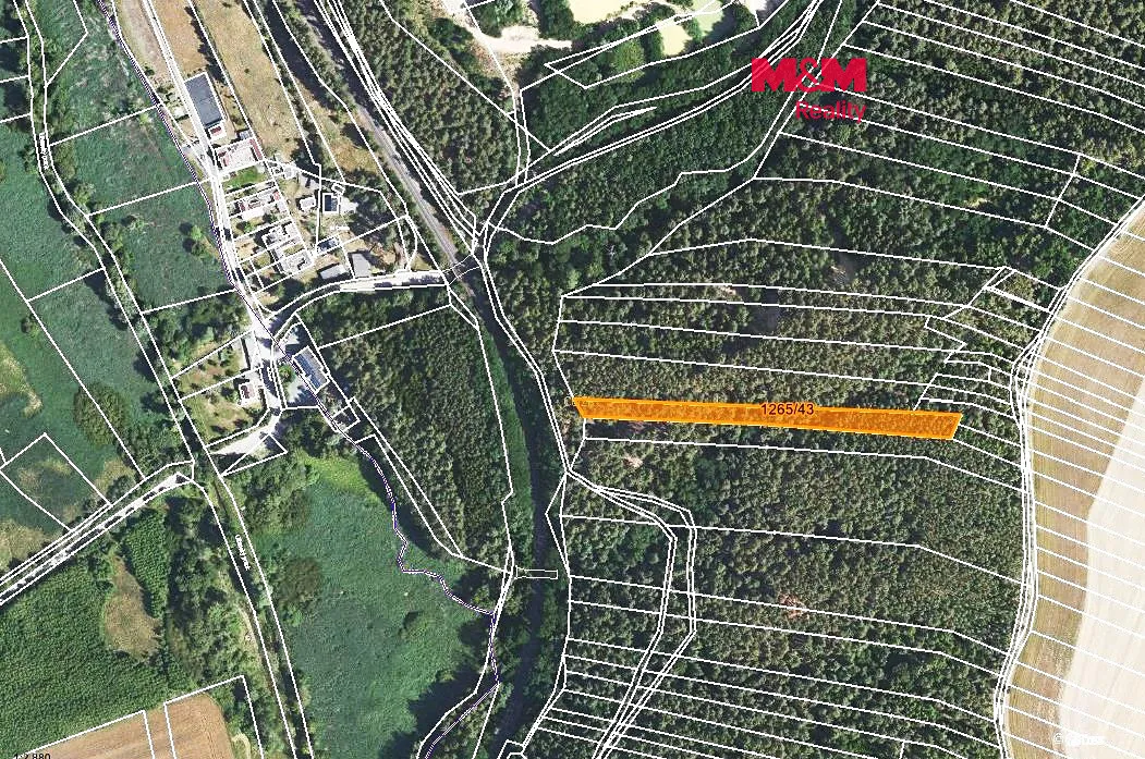 Prodej lesa 3507 m²