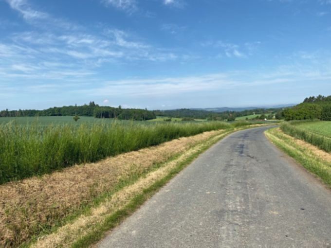 Prodej stavebního pozemku 8669 m² – fotografie 3