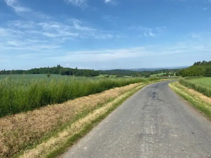 Prodej stavebního pozemku 8669 m², Zbizuby – náhled fotky 3