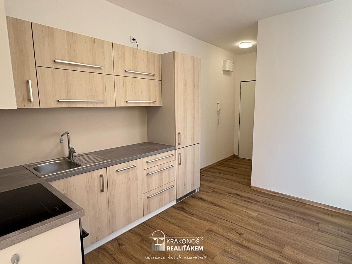 Pronájem bytu 2+kk 55 m² – fotografie 4