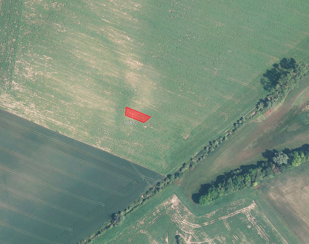 Prodej pole 19471 m² – fotografie 2