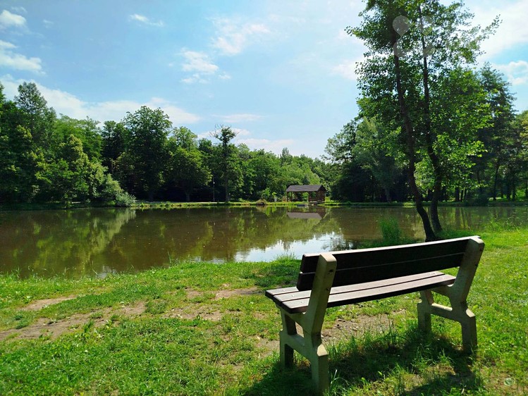 Ostatní