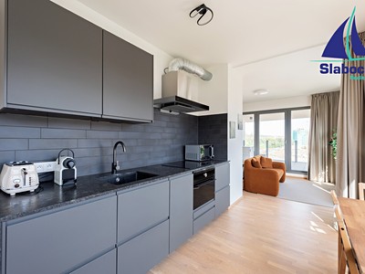 Pronájem bytu 1+kk 63 m²