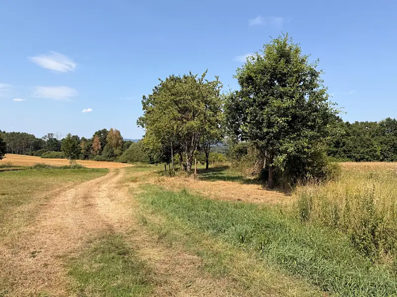 Prodej zahrady 3045 m², Česká Lípa – náhled fotky 2