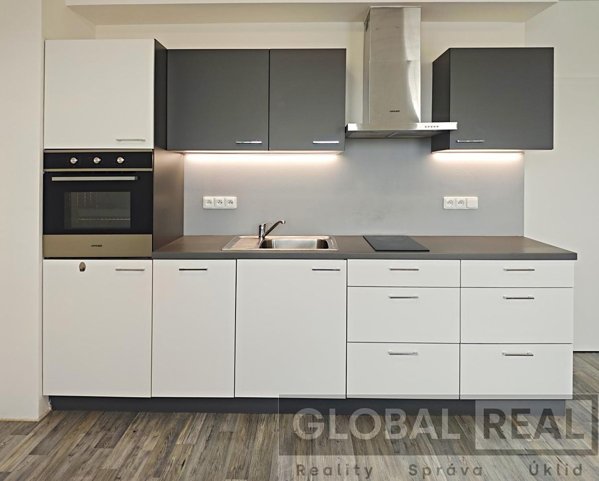 Pronájem bytu 2+kk 43 m² – fotografie 4