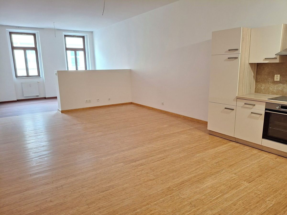 Pronájem bytu 1+kk 56 m² – fotografie 4