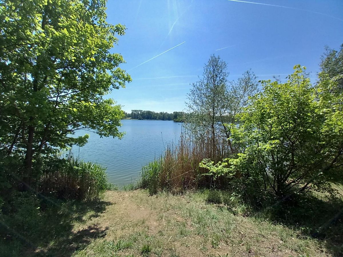 Prodej chaty 36 m², pozemek 371 m² – fotografie 3