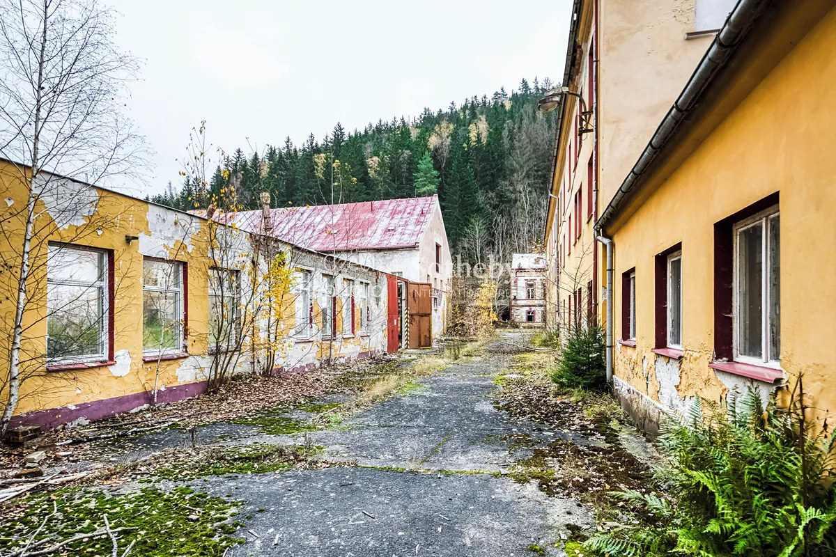 Fotka 6 z 11