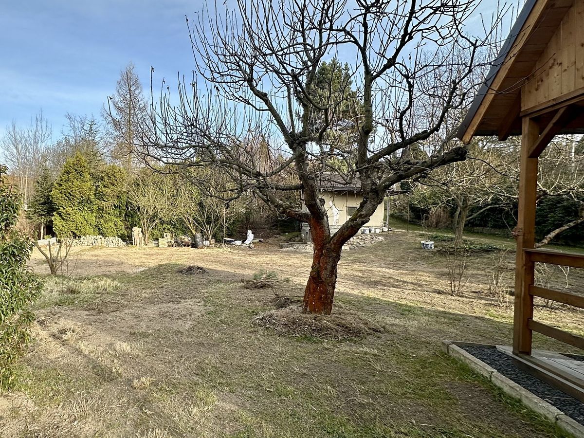 Prodej chaty 30 m², pozemek 407 m² – fotografie 4