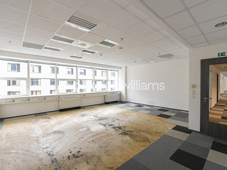 Gewerbefläche zur Miete, 810 m² (10 von 12)