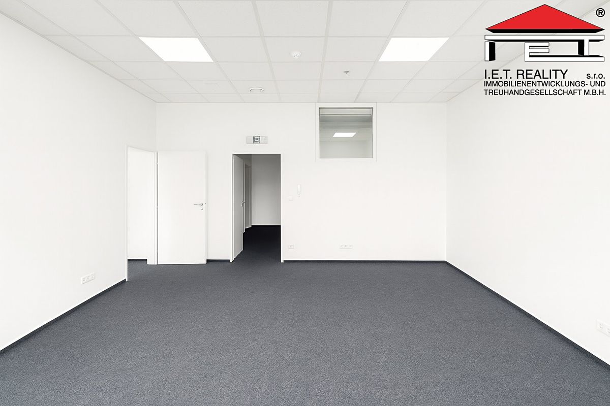 Pronájem kanceláře 191 m² – fotografie 3