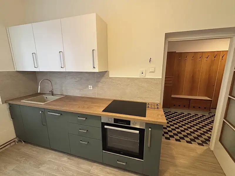 Pronájem bytu 2+1 70 m², Tábor – náhled fotky 2