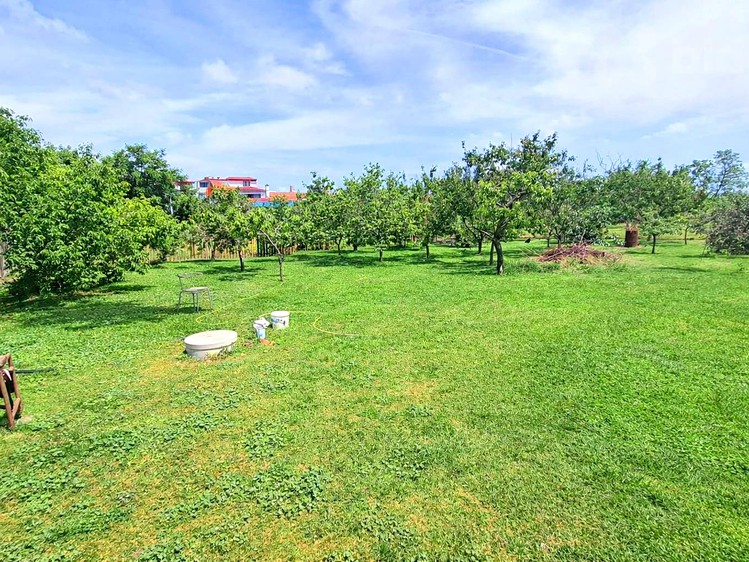 Ostatní