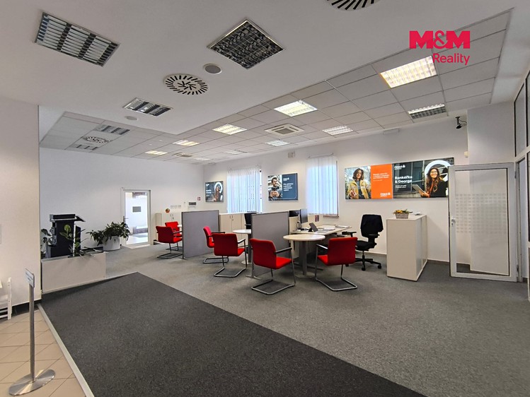 Комерційне приміщення в оренду, 524 м² (5 з 19)