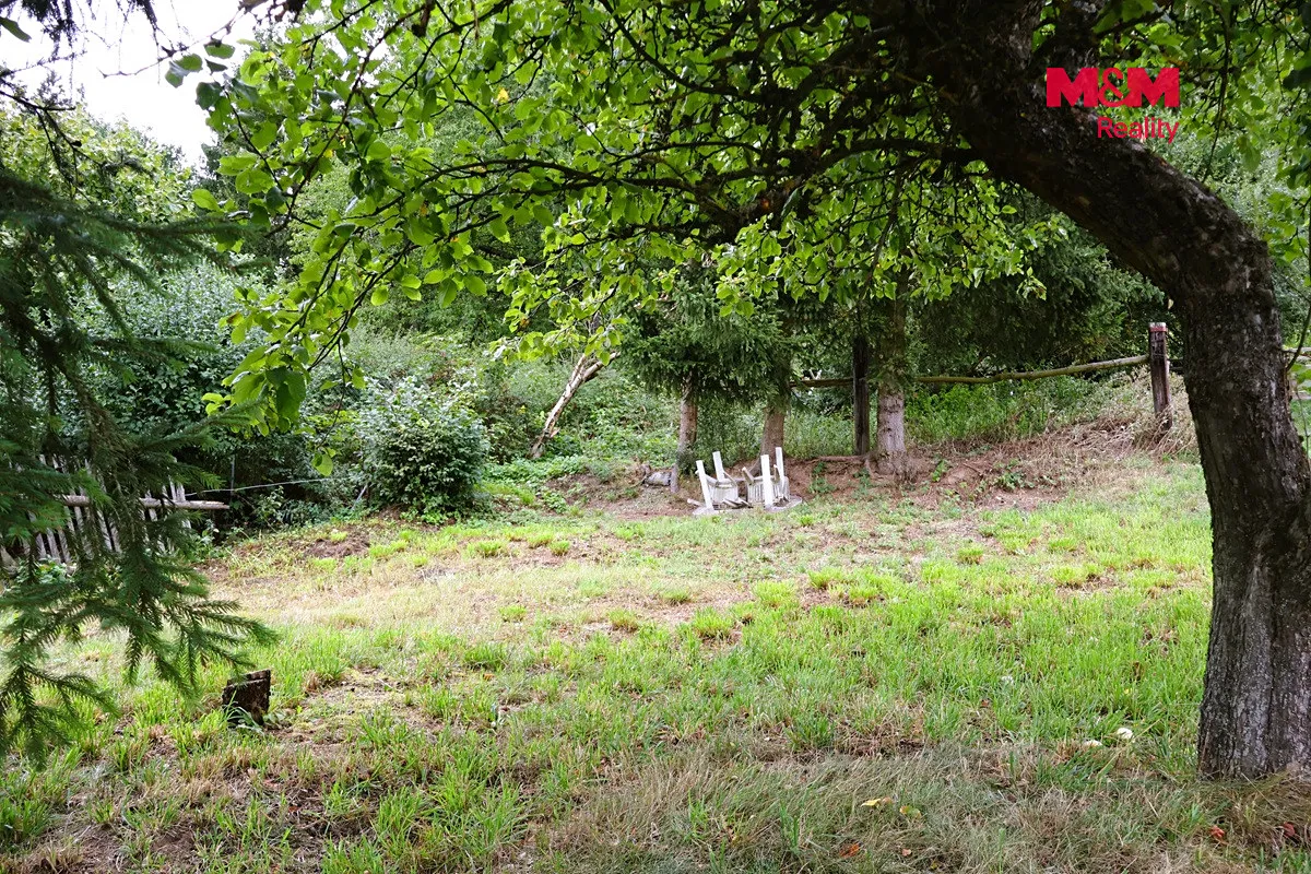 Fotka 7 z 17