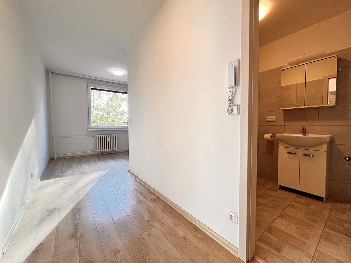 Pronájem bytu 1+1 40 m² – fotografie 4