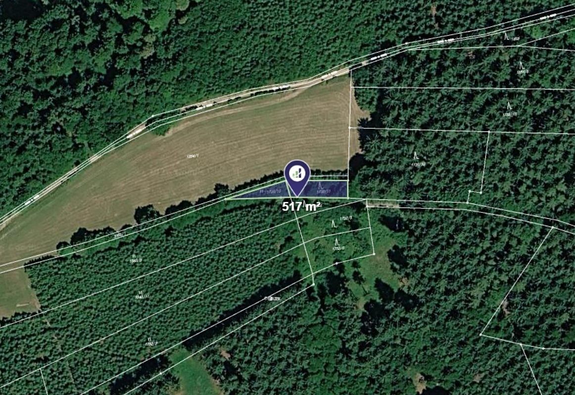 Prodej lesa 517 m²