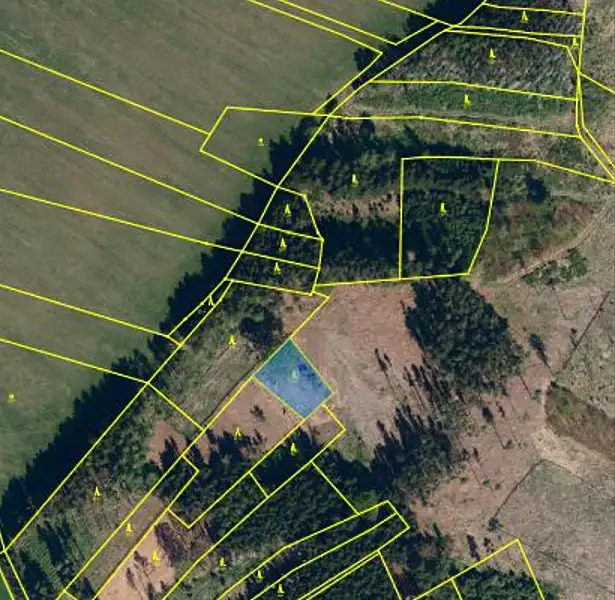 Prodej lesa 978 m², Lukavec – náhled fotky 3