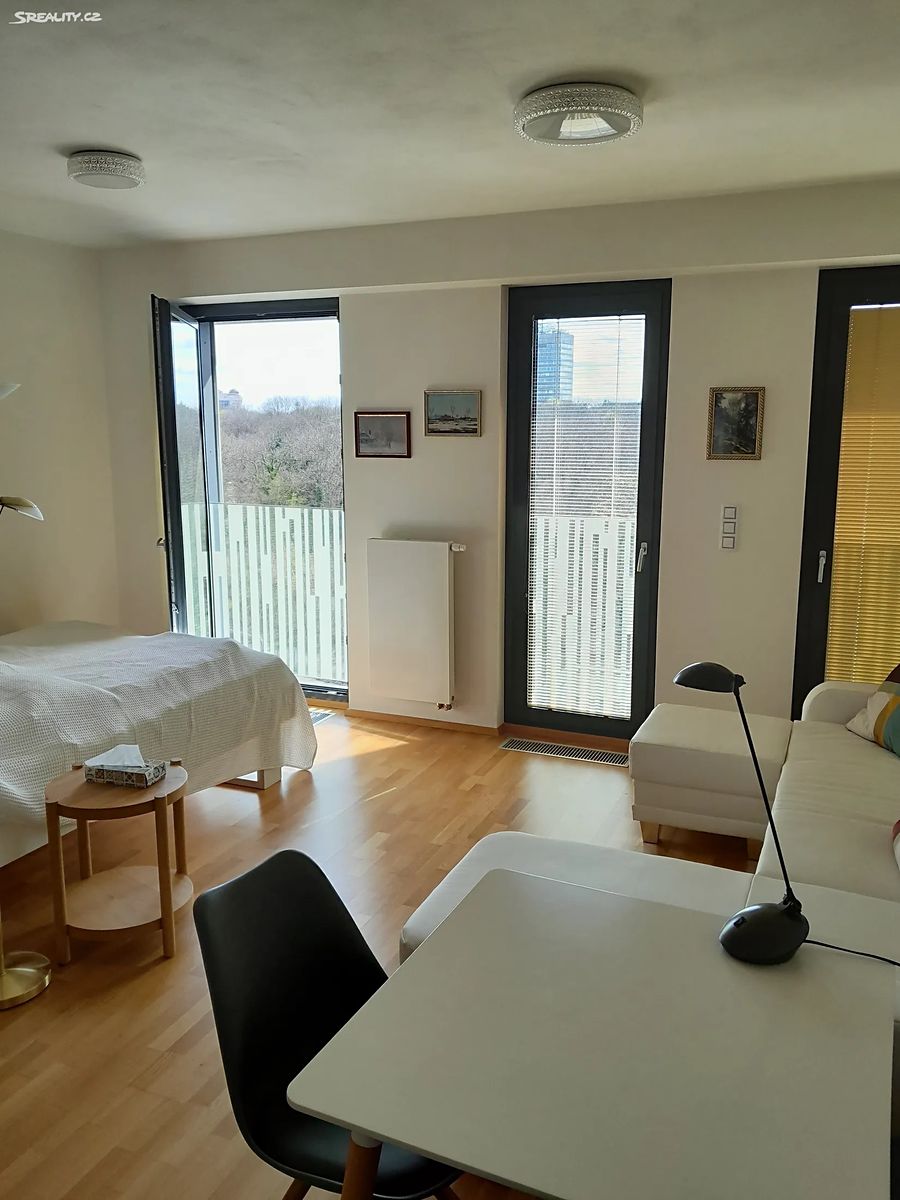 Pronájem bytu 1+kk 37 m²