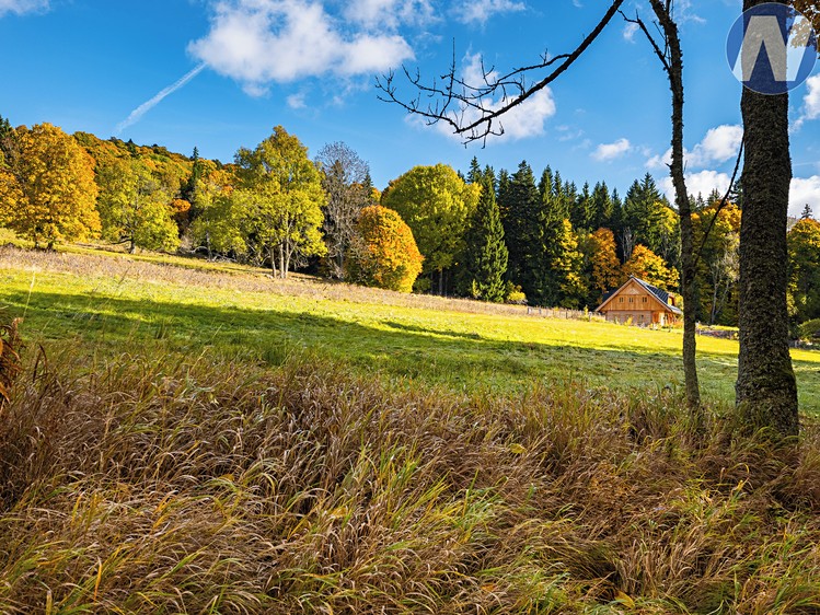 Grundstück zum Kauf, 6.572 m² (5 von 14)