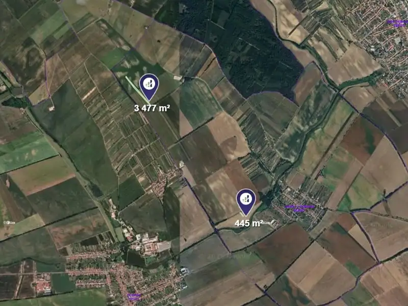 Prodej sadu, vinice 3922 m², Josefov – náhled fotky 3